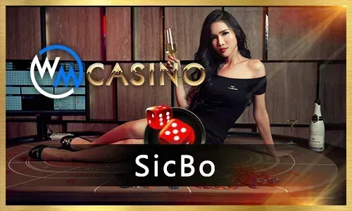 Sports Betting Interface